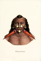 Indien Péruvien, 1824